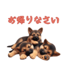 [お帰りなさい専用]ジャーマンシェパード（個別スタンプ：14）