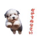 [お休みなさい]イングリッシュシープドッグ（個別スタンプ：9）