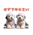 [お休みなさい]イングリッシュシープドッグ（個別スタンプ：13）