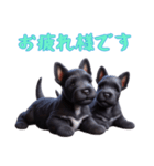 [お疲れ様専用]スコティッシュテリアベビー（個別スタンプ：2）