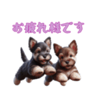 [お疲れ様専用]スコティッシュテリアベビー（個別スタンプ：5）