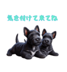 [気を付けて来てね]スコティッシュテリア（個別スタンプ：1）