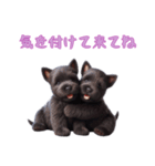[気を付けて来てね]スコティッシュテリア（個別スタンプ：4）