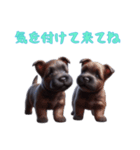 [気を付けて来てね]スコティッシュテリア（個別スタンプ：5）