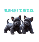 [気を付けて来てね]スコティッシュテリア（個別スタンプ：11）