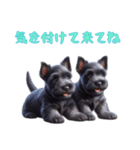 [気を付けて来てね]スコティッシュテリア（個別スタンプ：13）