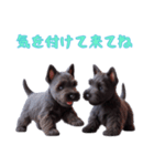[気を付けて来てね]スコティッシュテリア（個別スタンプ：15）
