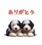 [ありがとう]イングリッシュシープドッグ（個別スタンプ：1）
