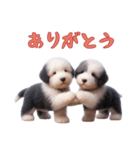 [ありがとう]イングリッシュシープドッグ（個別スタンプ：2）