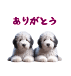 [ありがとう]イングリッシュシープドッグ（個別スタンプ：7）