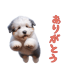 [ありがとう]イングリッシュシープドッグ（個別スタンプ：9）