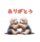 [ありがとう]イングリッシュシープドッグ（個別スタンプ：11）