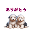 [ありがとう]イングリッシュシープドッグ（個別スタンプ：15）