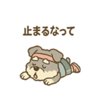 マラソンシュナさんの大会日記（個別スタンプ：31）