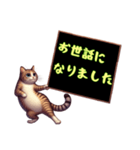 猫からメッセージ（個別スタンプ：10）