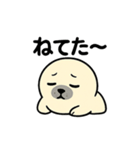 しろアザラシ（個別スタンプ：30）