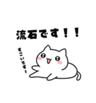 よわよわ猫 使える丁寧語（個別スタンプ：8）