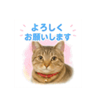 しのさんちのペット（個別スタンプ：10）