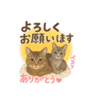 しのさんちのペット（個別スタンプ：11）