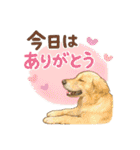 しのさんちのペット（個別スタンプ：23）