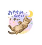 しのさんちのペット（個別スタンプ：25）