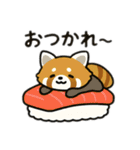 レッサーパンダを推しまくろう！（個別スタンプ：1）