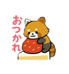 レッサーパンダを推しまくろう！（個別スタンプ：3）