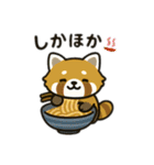 レッサーパンダを推しまくろう！（個別スタンプ：19）