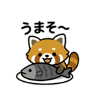 レッサーパンダを推しまくろう！（個別スタンプ：20）