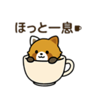 レッサーパンダを推しまくろう！（個別スタンプ：27）