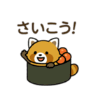 レッサーパンダを推しまくろう！（個別スタンプ：31）