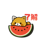 レッサーパンダを推しまくろう！（個別スタンプ：33）