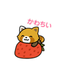 レッサーパンダを推しまくろう！（個別スタンプ：34）