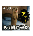 ⚫猫ミームで会話⭐40匹セット[社畜・無職編（個別スタンプ：1）