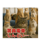 ⚫猫ミームで会話⭐40匹セット[社畜・無職編（個別スタンプ：4）