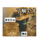 ⚫猫ミームで会話⭐40匹セット[社畜・無職編（個別スタンプ：6）