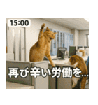 ⚫猫ミームで会話⭐40匹セット[社畜・無職編（個別スタンプ：11）