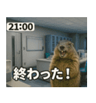 ⚫猫ミームで会話⭐40匹セット[社畜・無職編（個別スタンプ：12）