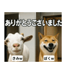 ⚫猫ミームで会話⭐40匹セット[社畜・無職編（個別スタンプ：13）