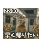 ⚫猫ミームで会話⭐40匹セット[社畜・無職編（個別スタンプ：15）