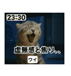 ⚫猫ミームで会話⭐40匹セット[社畜・無職編（個別スタンプ：18）