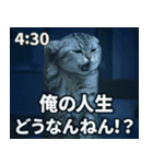 ⚫猫ミームで会話⭐40匹セット[社畜・無職編（個別スタンプ：21）