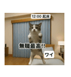 ⚫猫ミームで会話⭐40匹セット[社畜・無職編（個別スタンプ：24）