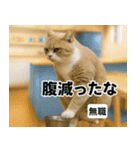 ⚫猫ミームで会話⭐40匹セット[社畜・無職編（個別スタンプ：25）