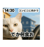⚫猫ミームで会話⭐40匹セット[社畜・無職編（個別スタンプ：26）