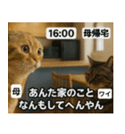 ⚫猫ミームで会話⭐40匹セット[社畜・無職編（個別スタンプ：27）