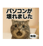⚫猫ミームで会話⭐40匹セット[社畜・無職編（個別スタンプ：30）