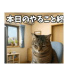 ⚫猫ミームで会話⭐40匹セット[社畜・無職編（個別スタンプ：31）