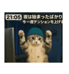 ⚫猫ミームで会話⭐40匹セット[社畜・無職編（個別スタンプ：37）