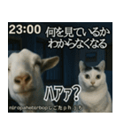 ⚫猫ミームで会話⭐40匹セット[社畜・無職編（個別スタンプ：38）